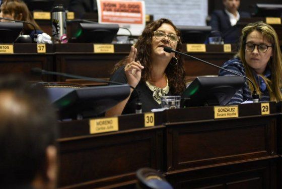 Susana González, diputada provincial: 