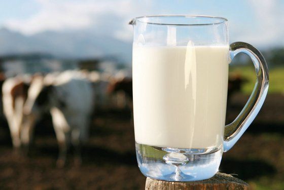 La columna de Natalia Vizioli, nutricionista, sobre las propiedades nutricionales de la leche y mitos sobre ella