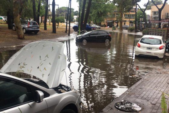 Diego Diez, Defensa Civil de Pinamar, tras el temporal en la región: 